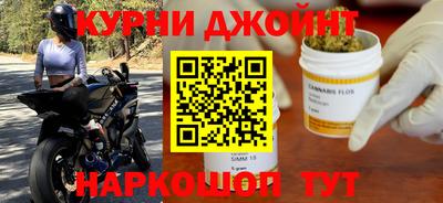 МДПВ Кингисепп