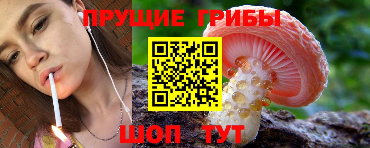 Псилоцибиновые грибы прущие грибы  Вход с VPN  Краснодар 